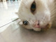 Dijual Apartemen 3BR 12m² di Kute Panang - Thumbnail 1