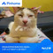 Dijual Rumah 3KT 500m² di Pejaten Barat - Thumbnail 1