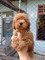 Dijual Rumah di Andamata - Thumbnail 7