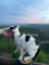 Dijual Apartemen New Apart di Cak Kue - Thumbnail 1