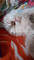 Dijual Apartemen 121m² di Daan Mogot City - Thumbnail 5