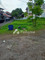 Disewakan Rumah Asri Indah di Jl. Dago Atas - Thumbnail 2