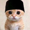 Dijual Rumah Testing Test Test Test di Fak-Fak Barat (Fakfak Barat) - Thumbnail 1