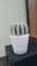 Dijual Rumah Bagus Banget di Cipayung - Thumbnail 3