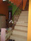 Dijual Rumah 2 Lantai 5KT 200m² di Pamulang - Thumbnail 5