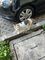 Dijual Tanah Residensial Jhujjjj di Lawe Buluh Didi - Thumbnail 2