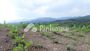Dijual Tanah Residensial Salapan di Jifak - Thumbnail 2