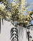 Dijual Apartemen Toppppp di Kuta Batu - Thumbnail 3