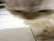 Dijual Apartemen 3BR 25m² di Singkil Utara - Thumbnail 1